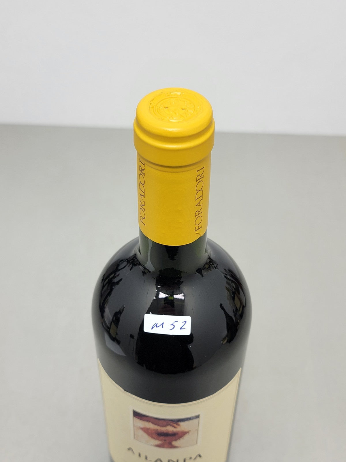 Ailanpa Foradori 1999 Mezzolombardo Vigneti Delle Dolomiti Rosso bott. 75 cl 13%