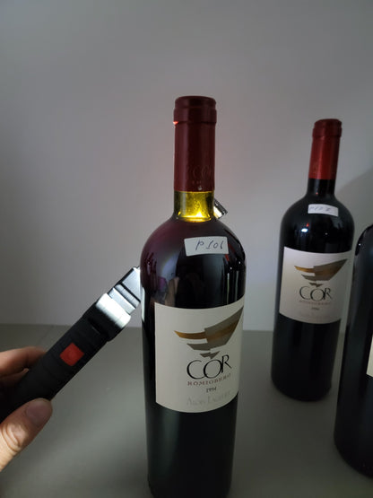 Alois Lageder Cor Romigberg 1994 Alto Adige Cassa in Legno 6 bottle 75 cl 12,5%