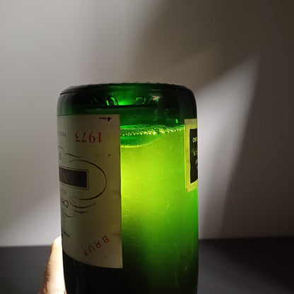 Champagne Trouillard 1973 ReneTellier Brut Blanc De Blancs Epernay bott. 75 cl