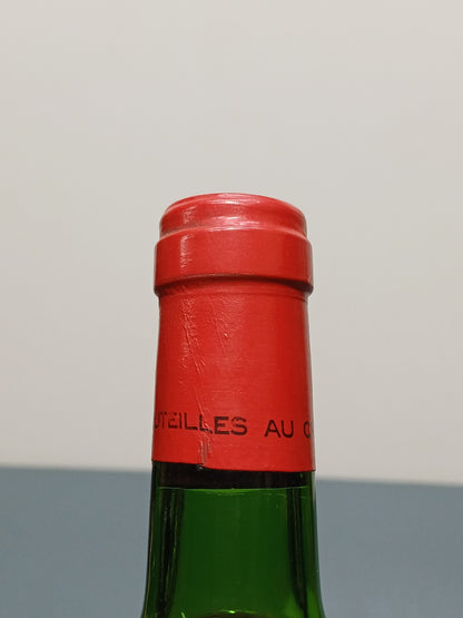 Vino 1981 Chateau de Ferrand Baron Bic Gran Cru Classe Saint Emilion bott.75 cl