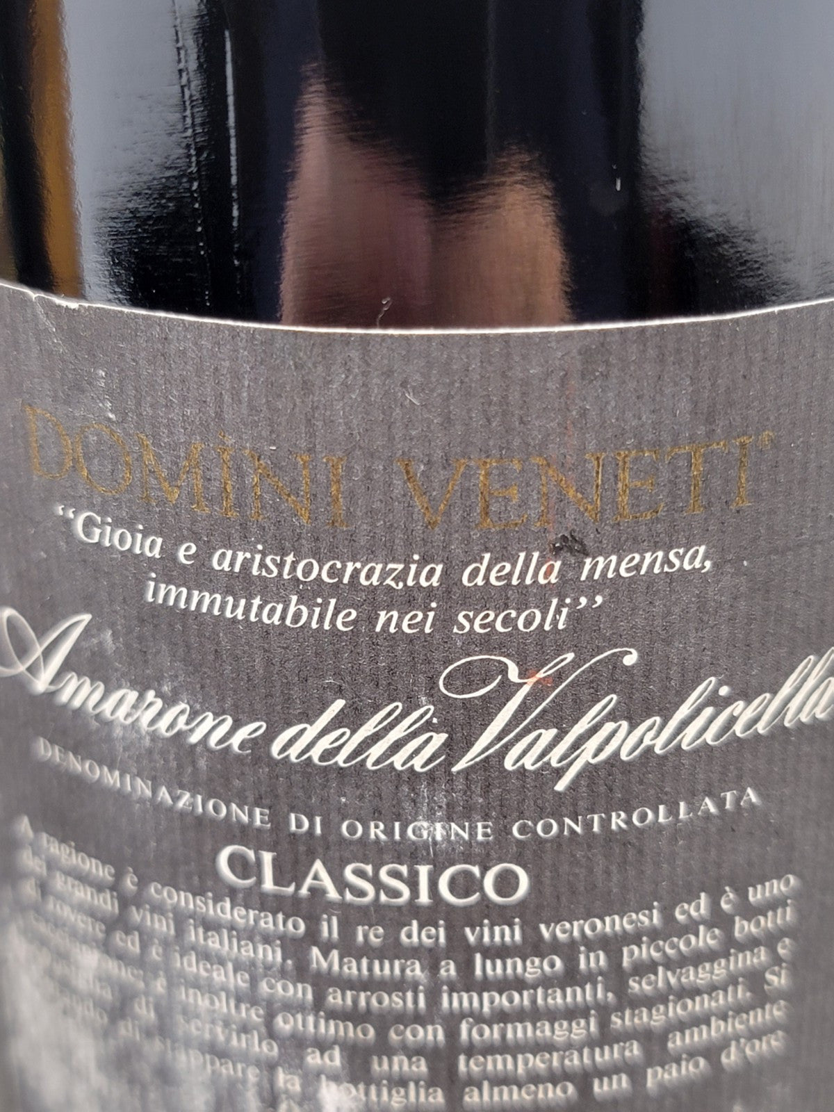 Amarone Domini Veneti 1994 Valpolicella Classico bott..75 cl 14.5%