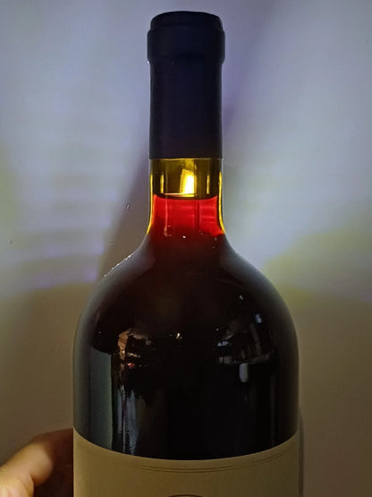Sassicaia 2012 Magnum Tenuta San Giudo 1.5 Lt