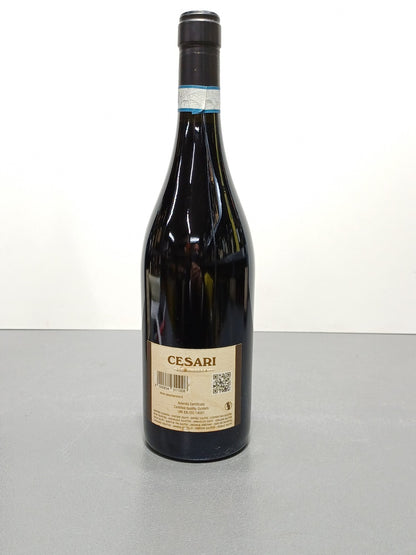 Cesari Il Bosco Amarone della Valpolicella Classico 2008 - 75 cl