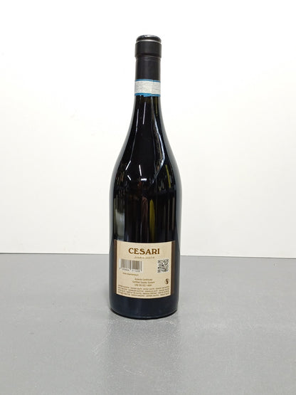 Cesari Il Bosco Amarone della Valpolicella Classico 2008 - 75 cl