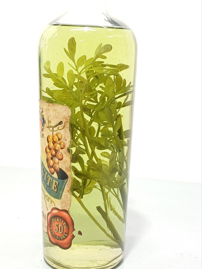 G. B. Lombardini Acquavite Finissima 1950 - 100 cl